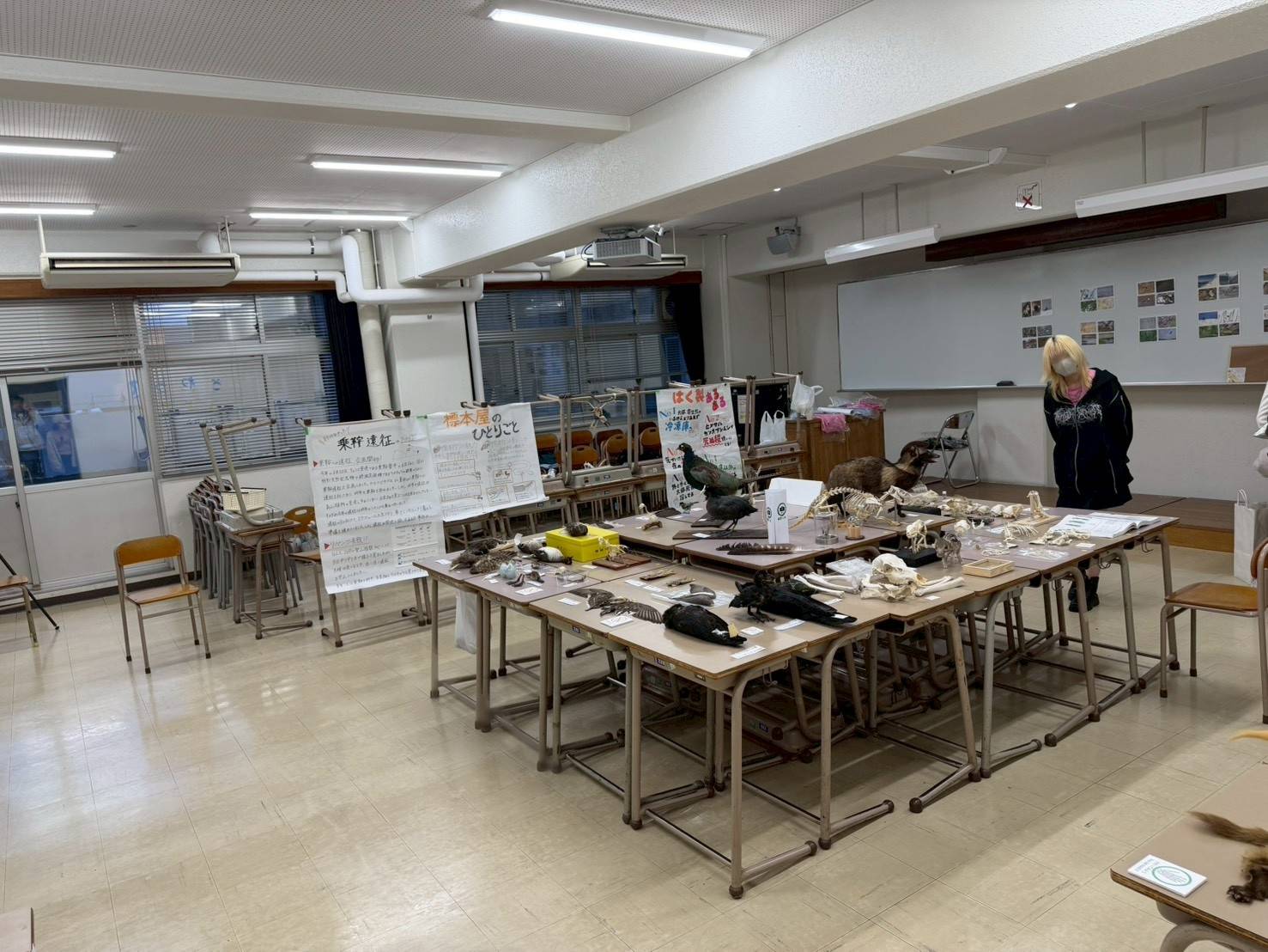 屋内展示の様子1